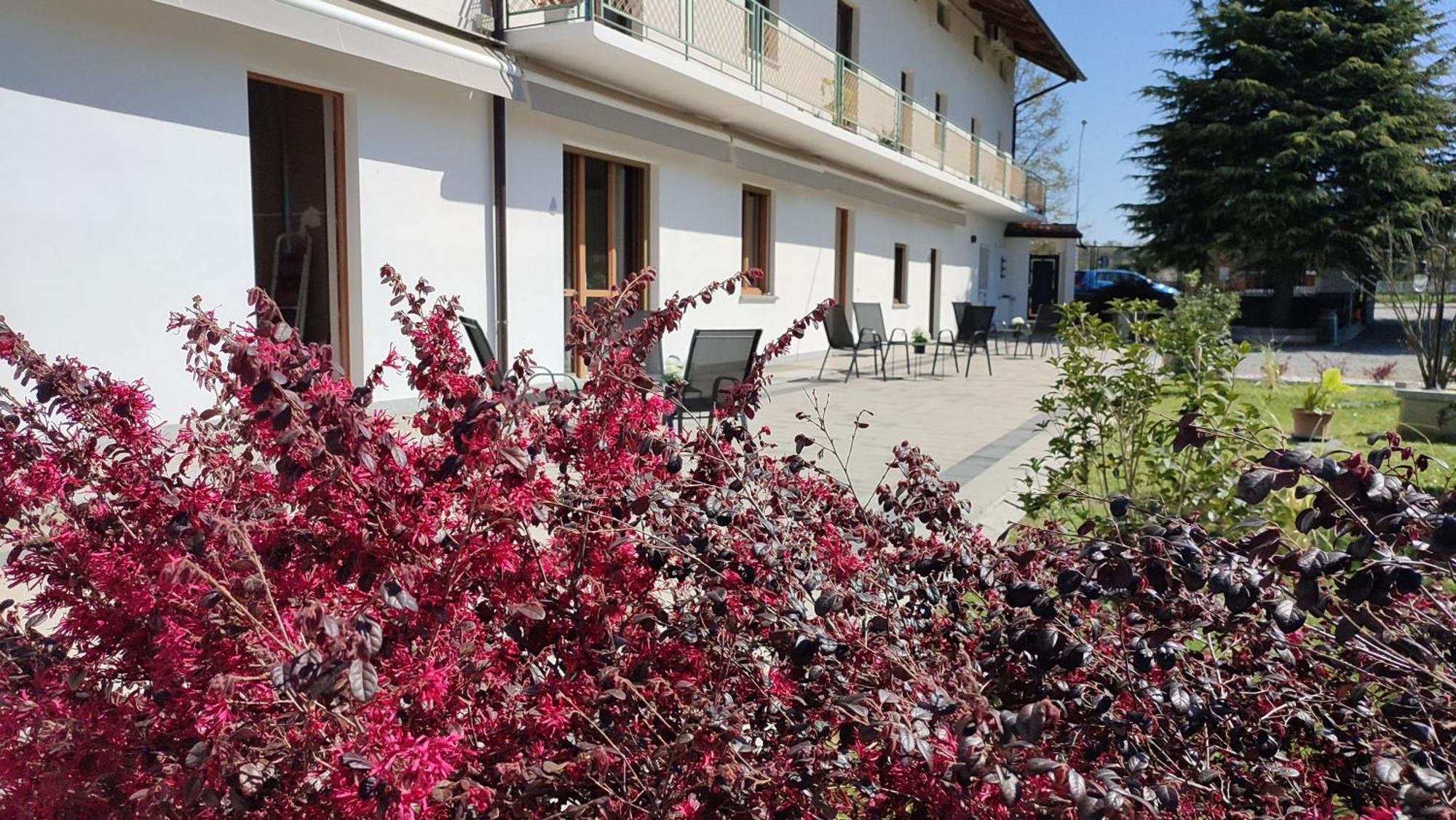 Nautica Tarello - Casa Ena Beb Bed & Breakfast Viverone Exterior photo